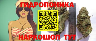 a pvp Бийск