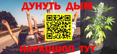 a pvp Бийск