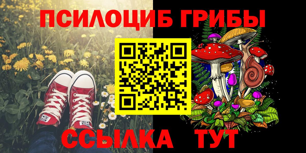 Псилоцибиновые грибы Psilocybine cubensis Ивантеевка