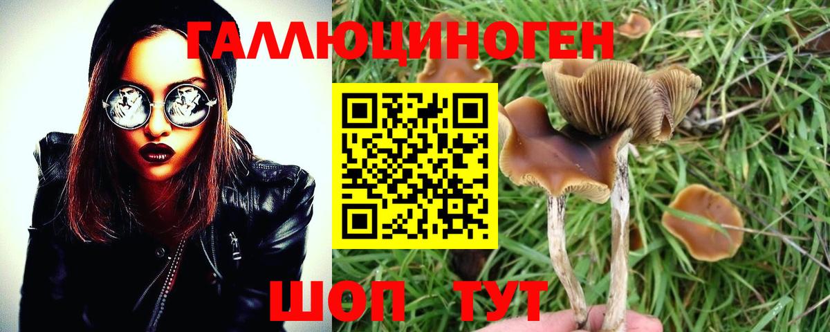 Ивантеевка  Псилоцибиновые грибы MAGIC MUSHROOMS  Вход с VPN 
